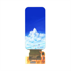 Hoogwaardig 4,39 inch AMOLED touchscreen displaymodule MIPI 39-pins IPS LTPS 2ms 568x1210 Guangdong voor fietsen - Product Image 1