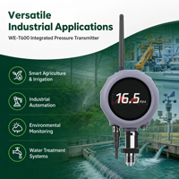 Capteur de pression sans fil LoRa WES WE-T600 en gros, étanche IP67, longue autonomie de la batterie, jauge pour l'irrigation automatique des fermes intelligentes