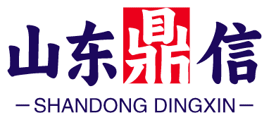 Shandong Dingxin Industrial Technology Co., Ltd. logo