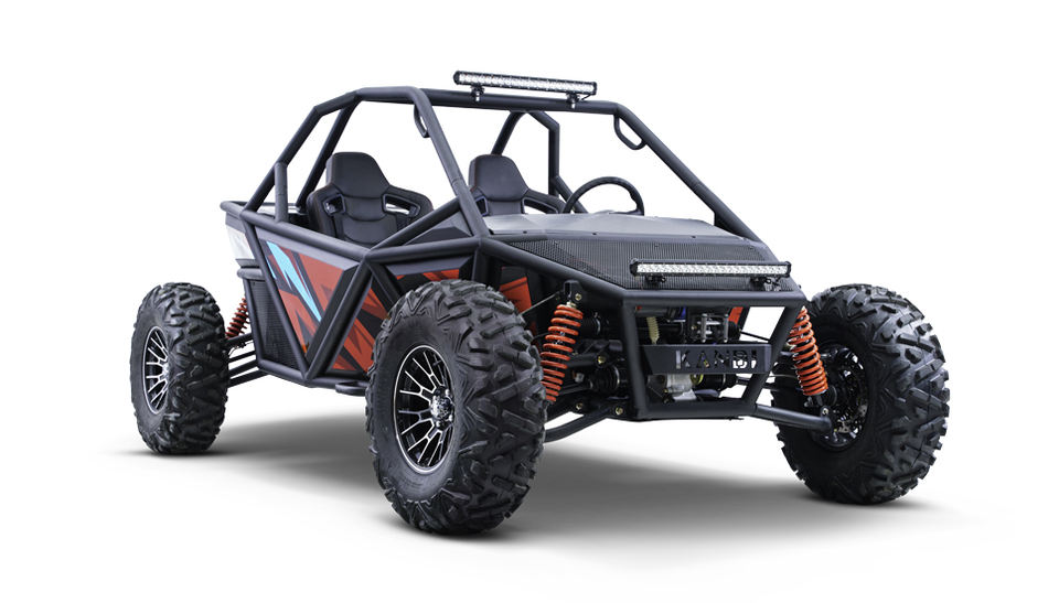 Amazing Electric Dune Buggy For Adults Photos