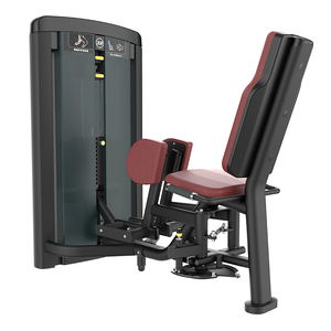 Exercices pour les muscles du fessier médial, du fessier minimal et le groupe musculaire <span class=keywords><strong>extenseur</strong></span> externe de la cuisse. - Product Image 2