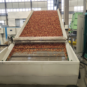 Séchoir à bande maillée de haute qualité pour fruits, dattes et tranches de jujubes - Product Image 1