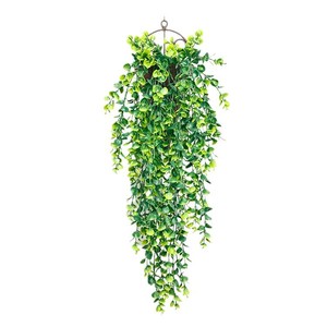Fleurs artificielles en éucalyptus pour toutes les saisons, plantes suspendues, 30cm-100cm, décoration intérieure, verdure en plastique - Product Image 5