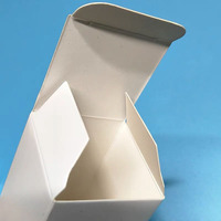 Mini emballage pliable personnalisé, petite boîte blanche, boîte en papier blanc uni, boîte à batterie en carton imprimée