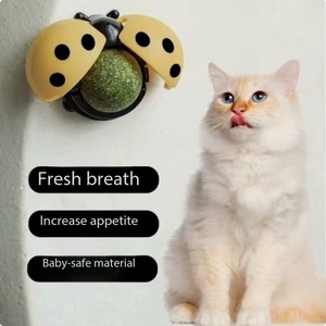 Balle à lécher interactive et mignonne au catnip pour chats, jouet comestible pour le nettoyage des dents, matière respirante et sans danger pour les bébés, stimule l'appétit - Product Image 4