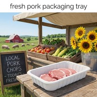 Emballage en blister en PP de qualité alimentaire personnalisé en gros pour les contenants de viande de bœuf, de porc, de poulet