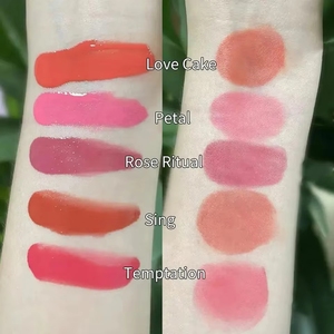 Nuevo Rubor Vegano de Larga Duración con Punta de Esponja Suave y Pigmentada para Maquillaje Facial, Tinte Mate para Mejillas, Rubor Dewy, Marca Privada - Product Image 5