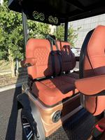 Voiturette de golf électrique à faible bruit pour clubs et villages de vacances, utilisation hors route, homologuée DOT CE EEC