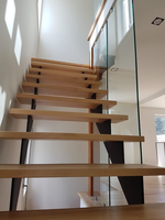 Escalier intérieur moderne de haute qualité Ace, marches en acier et en bois, poutre simple, escalier droit