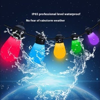 Guirlande lumineuse LED Magic Color Étanche IP65 Plastique Plug-In Lumières décoratives pour Noël Cour Camping Atmosphère