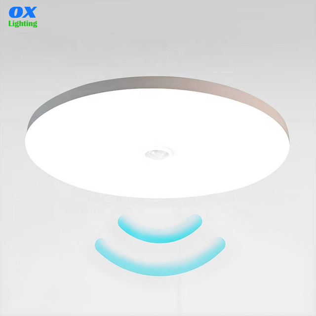 Motion PIR LED Sensor Light 220v Intelligent Ceiling Mounted Wall Closet Bathroom Magnet Induction Led Lamp