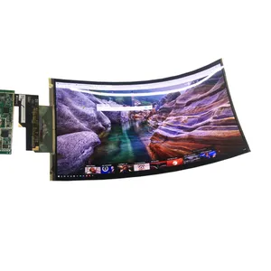Màn Hình OLED Linh Hoạt 10 Inch, Màn Hình LCD AMOLED Uốn Cong 10.13*2208 1242 Inch Với Bảng Điều Khiển Cảm Ứng Oncell HD-MI