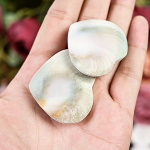 Wholesale Natural Shiva <b>Shell</b> Fossil Gemstone Crystal Crafts Heart for Home Decoration - Product Image 4