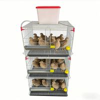 Cage d'élevage de cailles à grande capacité de type H à 3 étages, en treillis métallique galvanisé, empilable, avec système d'alimentation automatique pour cages à oiseaux
