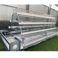 Cage à poules pondeuses de type A, moderne, pour l'élevage de volailles, avec système d'alimentation et d'abreuvement automatique