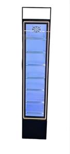 Congelador Vertical de Una Sola Zona de Congelación Rápida, 105 Litros, Puerta de Plástico, Exhibidor de Helados, Refrigerador Independiente para Exteriores, a Gas - Product Image 2