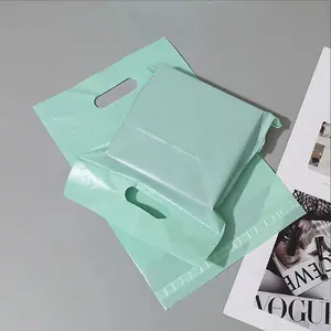 पर्यावरण के अनुकूल पैकेजिंग शिपिंग बैग कस्टम मेलिंग बैग हैंडल के साथ कूरियर बैग