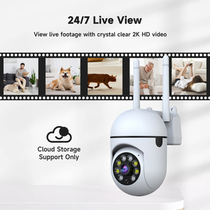 <span class=keywords><strong>3MP</strong></span> mini ngoài trời không dây Wifi PTZ <span class=keywords><strong>camera</strong></span> 360 độ hình cầu <span class=keywords><strong>IP</strong></span> giám sát nhà ống kính báo động trong nhà - Product Image 6