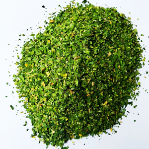 Hojas de Moringa Premium de la India – Proveedor y Exportador Mayorista - Product Image 1