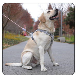 Pettorina per Cani Personalizzata Anti-Soffocamento Imbottita, Fornitura del Produttore, in Tessuto Oxford, Anti-Trazione per Addestramento - Product Image 3