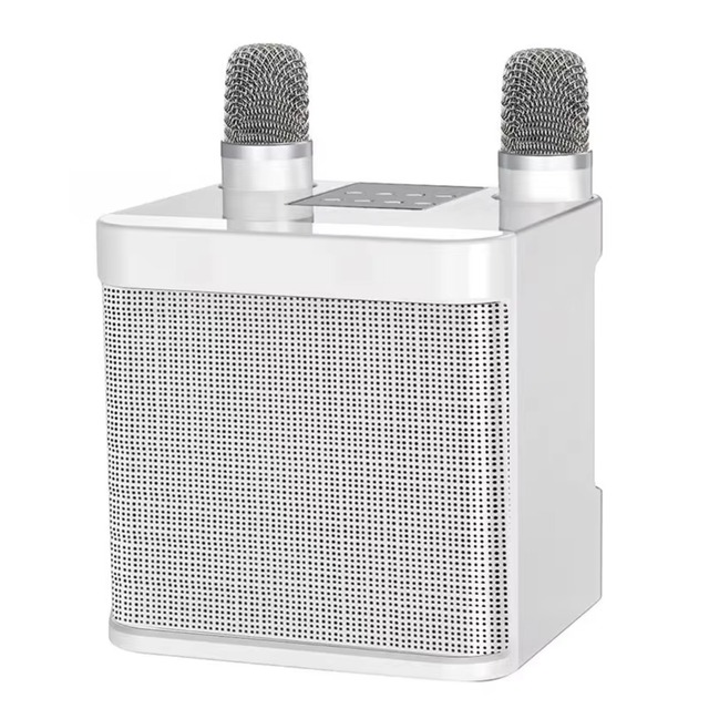 Wireless for Sound Card Microphone All-In-One Home Outdoor KTV Audio System with Call Function Battery