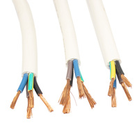 Rvv/h07vv-f Kabel Mehradrig 1,5mm 2,5mm 4mm 6mm Runde Elektrokabel