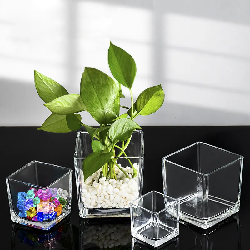 Forme carrée pas cher moderne lumière luxe mariage décoration de la maison fleur gris hydroponique verre conteneur Simple clair verre Vases
