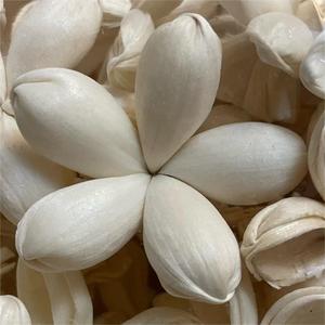 Fleur décorative en fil métallique, petite, douce, écologique, de type jasmin, personnalisée, 1,6 pouce, pour la maison, Noë<span class=keywords><strong>l</strong></span>, Nouvel An, remise de diplôme, Halloween - Product Image 2