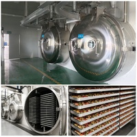 Industriële vacuümvriesdroger voor aardbeien met een capaciteit van ongeveer 300-500 kg vers fruit per batch
