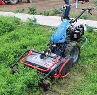 Cultivador rotativo BCS de alta calidad, marca italiana, mini cultivador eléctrico BCS, herramienta de construcción de un solo rotor, 60cm