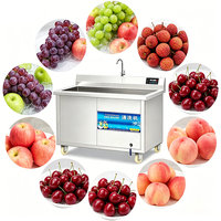 Fabrieksdirect 3KW Hoge Vermogen Ozonbelwasser met constante temperatuur voor het reinigen van vlees, vis, fruit, groenten en water