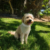 Bandana pour chien personnalisé à carreaux imprimés classiques avec bordure en dentelle blanche, tissé doux pour chiens et chats - Logo personnalisé, vente en gros