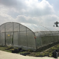 Bâtiment de culture en Poly Tunnel, serre verte, haute résistance, pour tomates, à vente