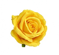 Rose artificielle à tige unique, rose artificielle multicolores, rose en soie à longue tige pour la décoration de mariage et de la maison