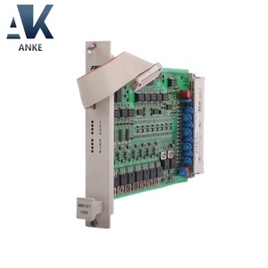 โมดูลส่งออกดิจิตอล10201/2/1 Honeywell - Product Image 1