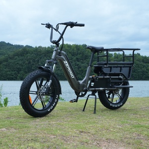 Zerogo 2025 C1 Eu 750W ad alta potenza 45 km/h lungo raggio batteria al litio telaio in lega di alluminio <span class=keywords><strong>bici</strong></span> <span class=keywords><strong>elettrica</strong></span> <span class=keywords><strong>Cargo</strong></span> - Product Image 2