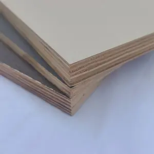 Exquisite Craftsmanship Waterproof And Moisture-Proof 10 X 4 Plywood Sheets Cheap Wall Decorative Panel Material