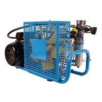 Mini compresseur d'air électrique de plongée, compresseur Portable pour la plongée