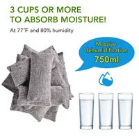 Lot de 10 sacs purificateurs d'air réutilisables en charbon de bambou solide, écologiques, absorbants les odeurs, 60g chacun, pour la maison, la voiture, les toilettes