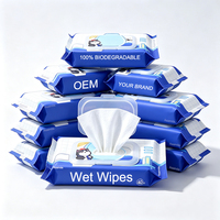 <strong>Best</strong> <strong>Selling</strong> Factory Wholesale Longmei Buttocks Antibacterial <strong>Flushable</strong> Cleaning Wet <strong>Wipes</strong> Daily Caring Biodegradable Household