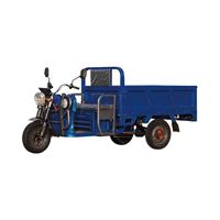 Triciclo Eléctrico de Gran Potencia, Triciclo E Rickshaw para Adultos, Otros Triciclos para Pasajeros CKD