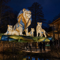 Expositions de lanternes géométriques sur le thème des animaux pour les sentiers lumineux des zoos et les parcs de faune sauvage