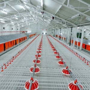 Ferme agrícola <span class=keywords><strong>galera</strong></span> para pollos, granja de pollos, 1000 - Product Image 4