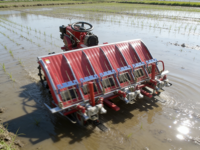Machine à repiquer le riz agricole, 2/4/6/8 rangs, modèle manuel ou électrique autoporté