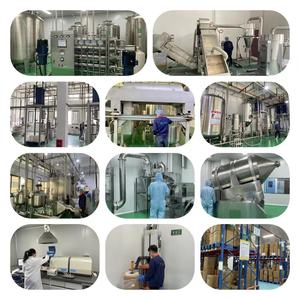 透明ホエータンパク質粉末バルクホエータンパク質ゴールドスタンダード最適栄養WPI90% ホエータンパク質分離物を供給 - Product Image 6