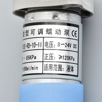 Bomba de Tinta JYY(B)-RD-10-II, Bomba de Tinta Líquida Pequeña para Motor Pequeño de 8-24 V CC para Impresora Epson Roland Mimaki Mutoh UV, etc.
