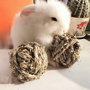 Timothy çim tavşan çiğnemek topu çim taşlama oyna Chew oyuncaklar tavşanı tavşan Hamster gine domuzlar Gerbils - Product Image 4