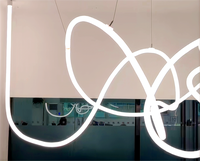 Créativité LED moderne: 360 degrés de tube néon flexible pour le bricolage, design pliable pour des styles de plafond uniques, choix coloré