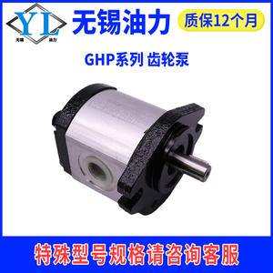 Pompes à engrenages Marzochi GHP1A et GHP2A-D-13/16/20/22-FG neuves et d'occasion en provenance d'Italie - Product Image 3