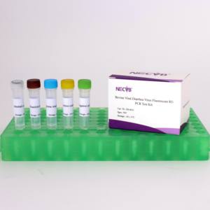 BVDV-2 Echtzeit-RT-PCR kit (50 Tests) Rinder-Virus-Erkennungs sonde SYBR Green Method - Product Image 3